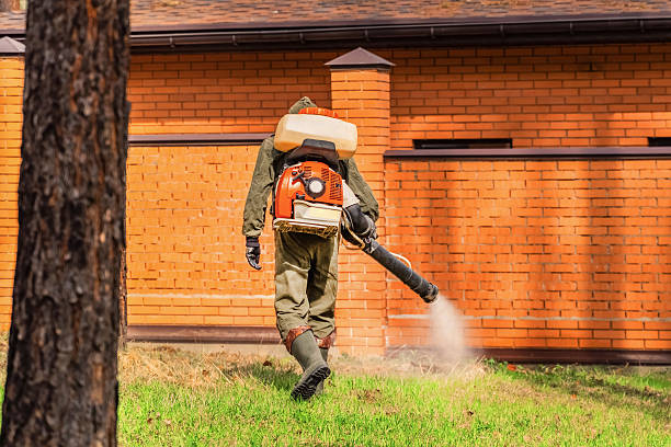 Trusted Fumigation Services service in Channel Islands Beach, CA - Nex Pest Control